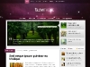wp-elegant-glow